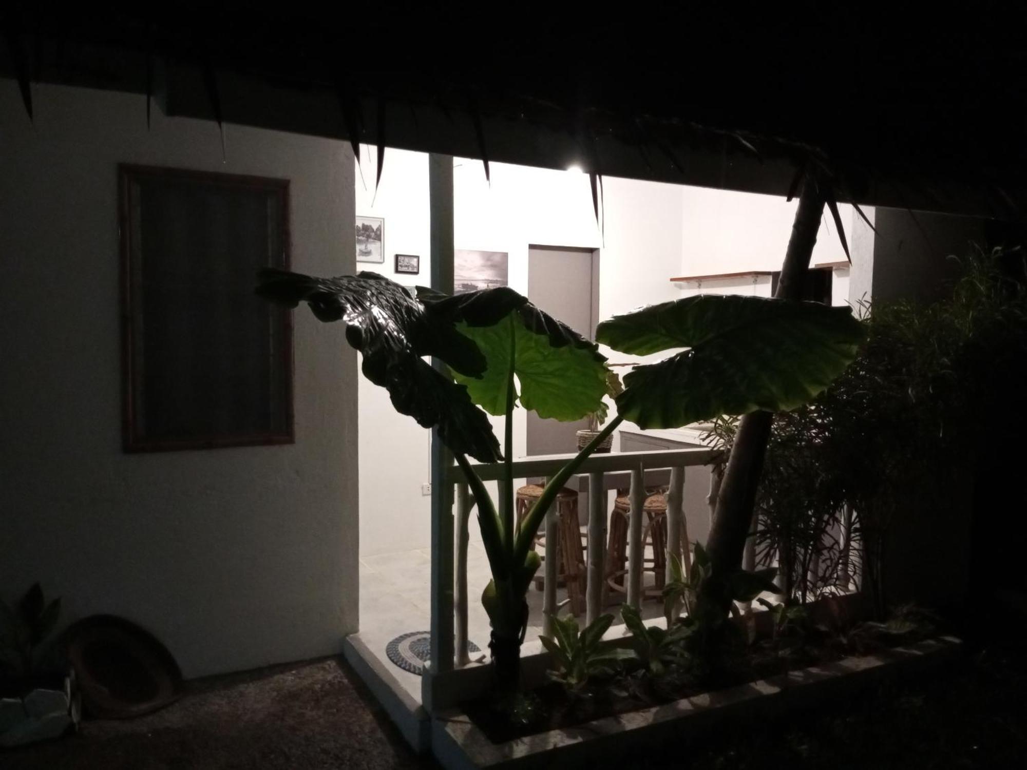 Laluna Cottages 爱妮岛 客房 照片